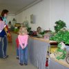 bild 017